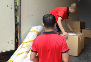 ���ĳ�;���